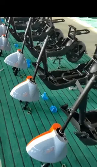 2023 Fábrica de China Divect Sales pantalla LED 48V bicicleta Scooter eléctrico bicicleta de equilibrio de 14 pulgadas bicicleta eléctrica de ciudad