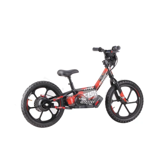 Mini bicicleta eléctrica para niños, bicicleta eléctrica de seguridad ligera, 36V, 2,5ah, 250W, Motor de cubo sin escobillas, freno de disco, bicicleta de equilibrio eléctrica